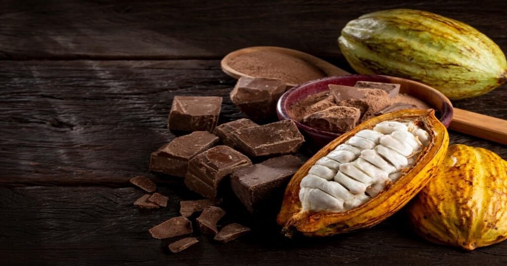 Cocoa: A Journey from Bean to Blissful Delight