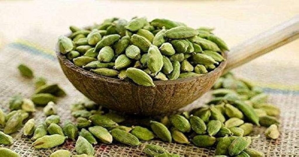 Cardamom: A Spice of Rich History and Distinctive Flavor