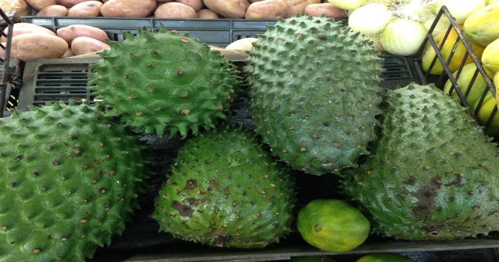 Guanabana (Soursop): Overview and Benefits