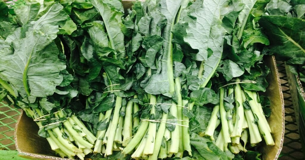 Mangold Chard: A Nutrient-Packed Leafy Green